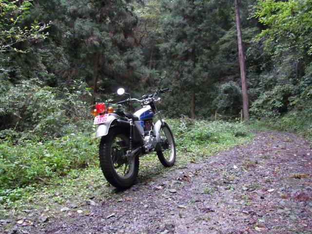 キカイのカラダ