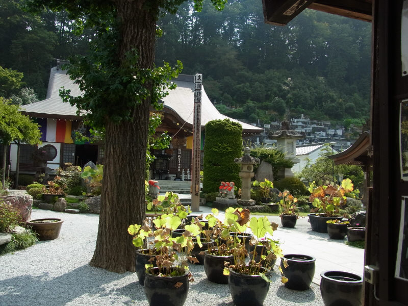 キカイのカラダ