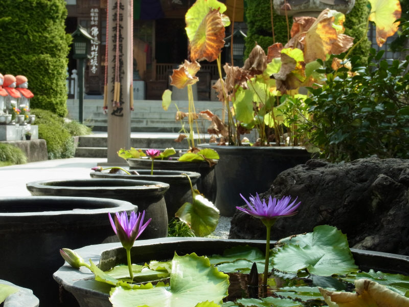 キカイのカラダ